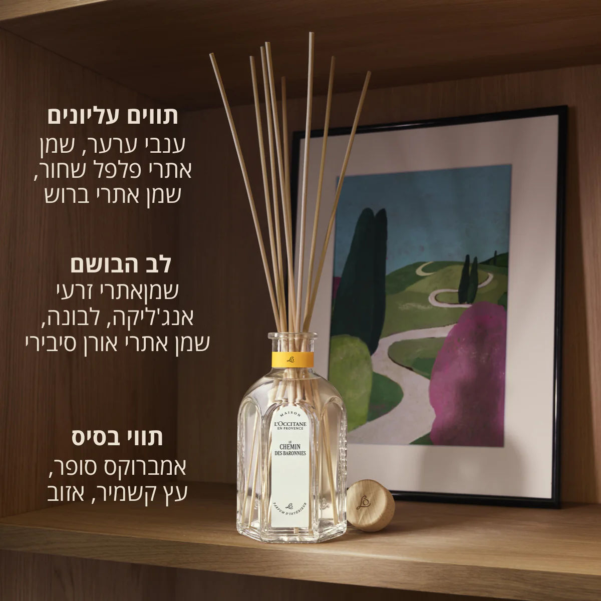תמונת מוצר 3