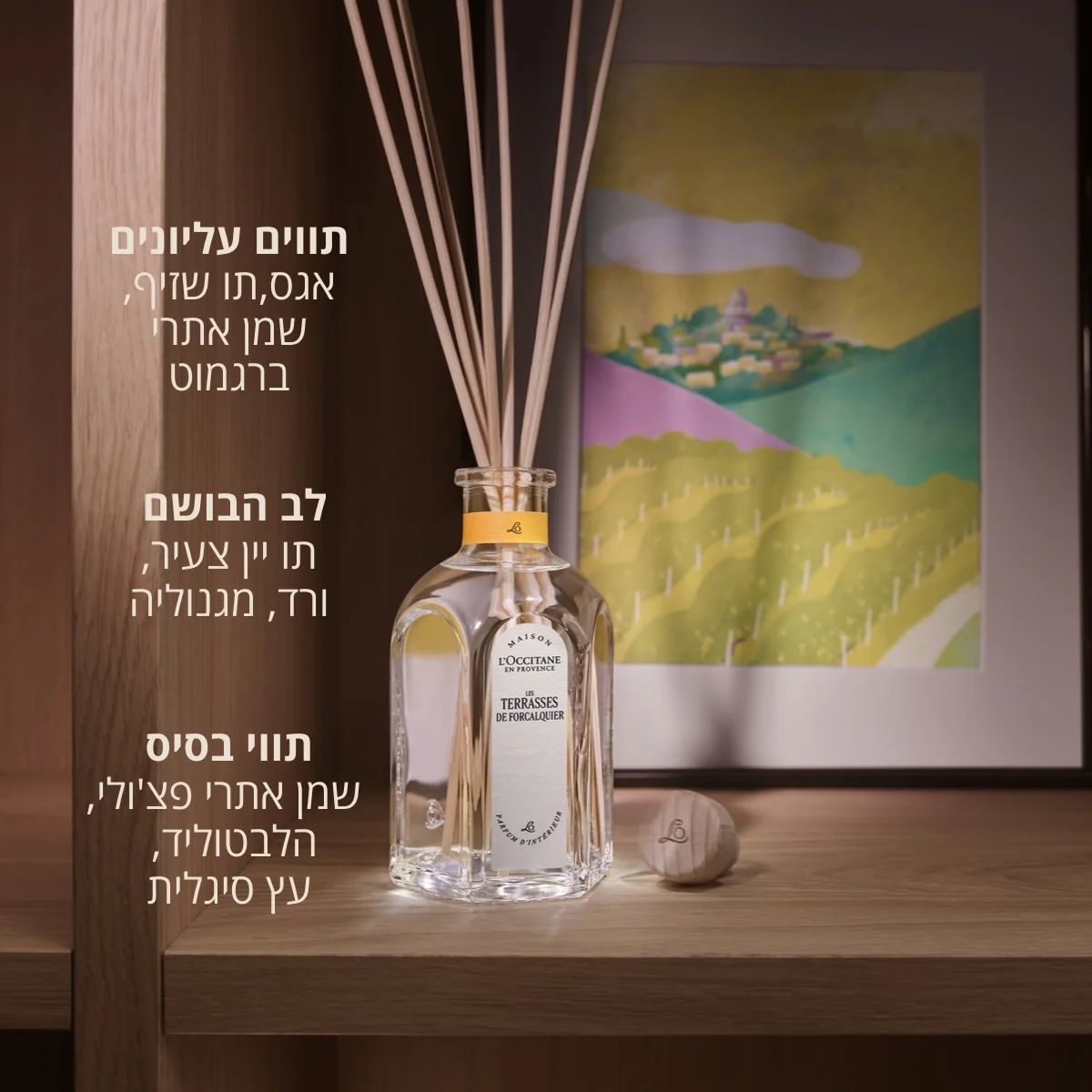 תמונה ממוזערת 2