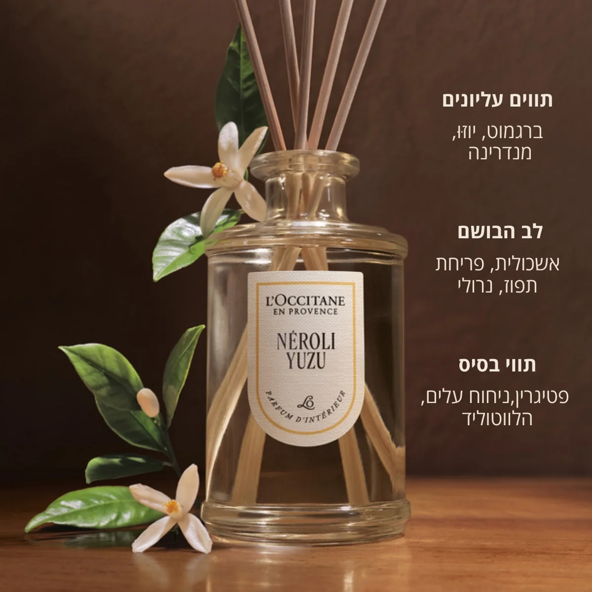 תמונת מוצר 3