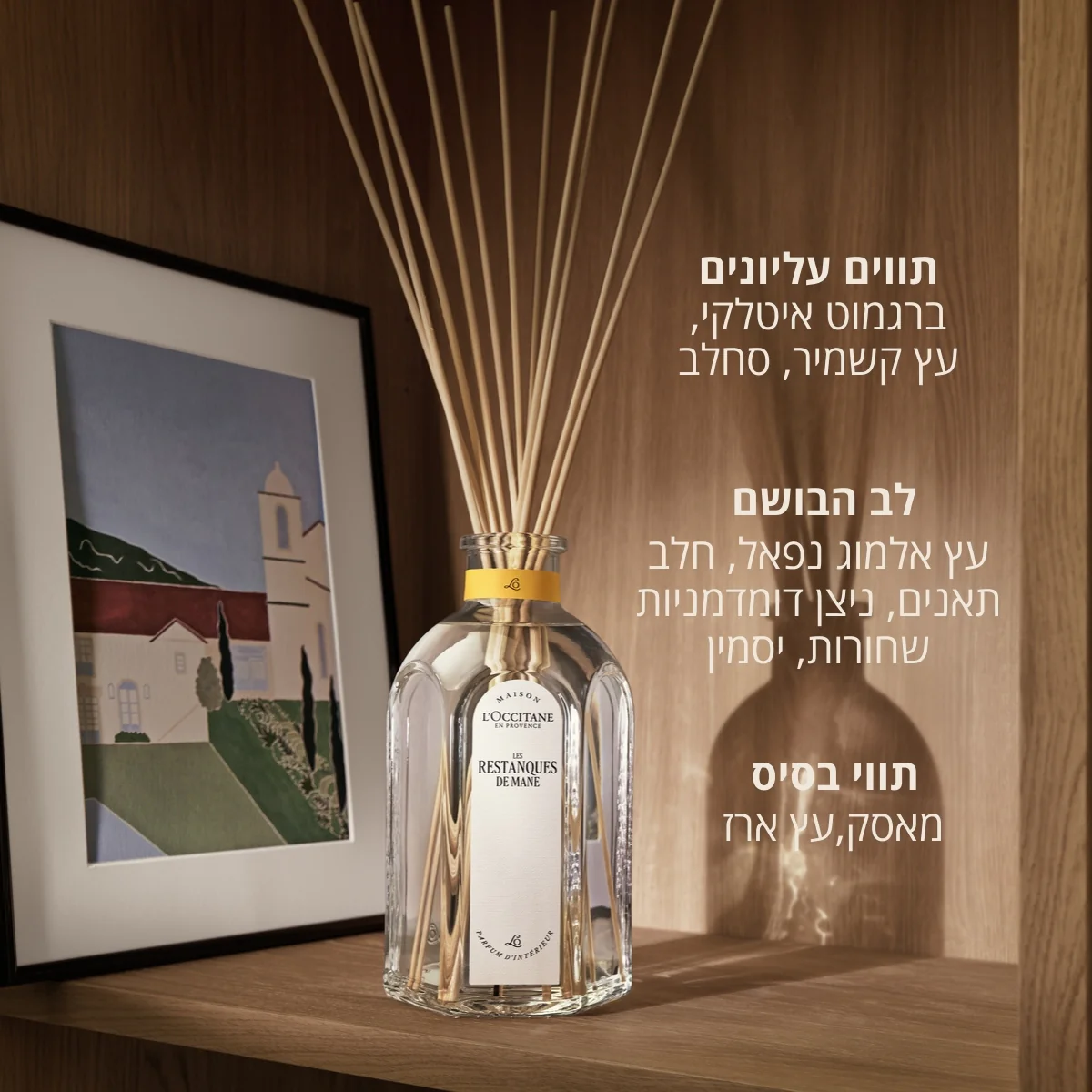 תמונת מוצר 3