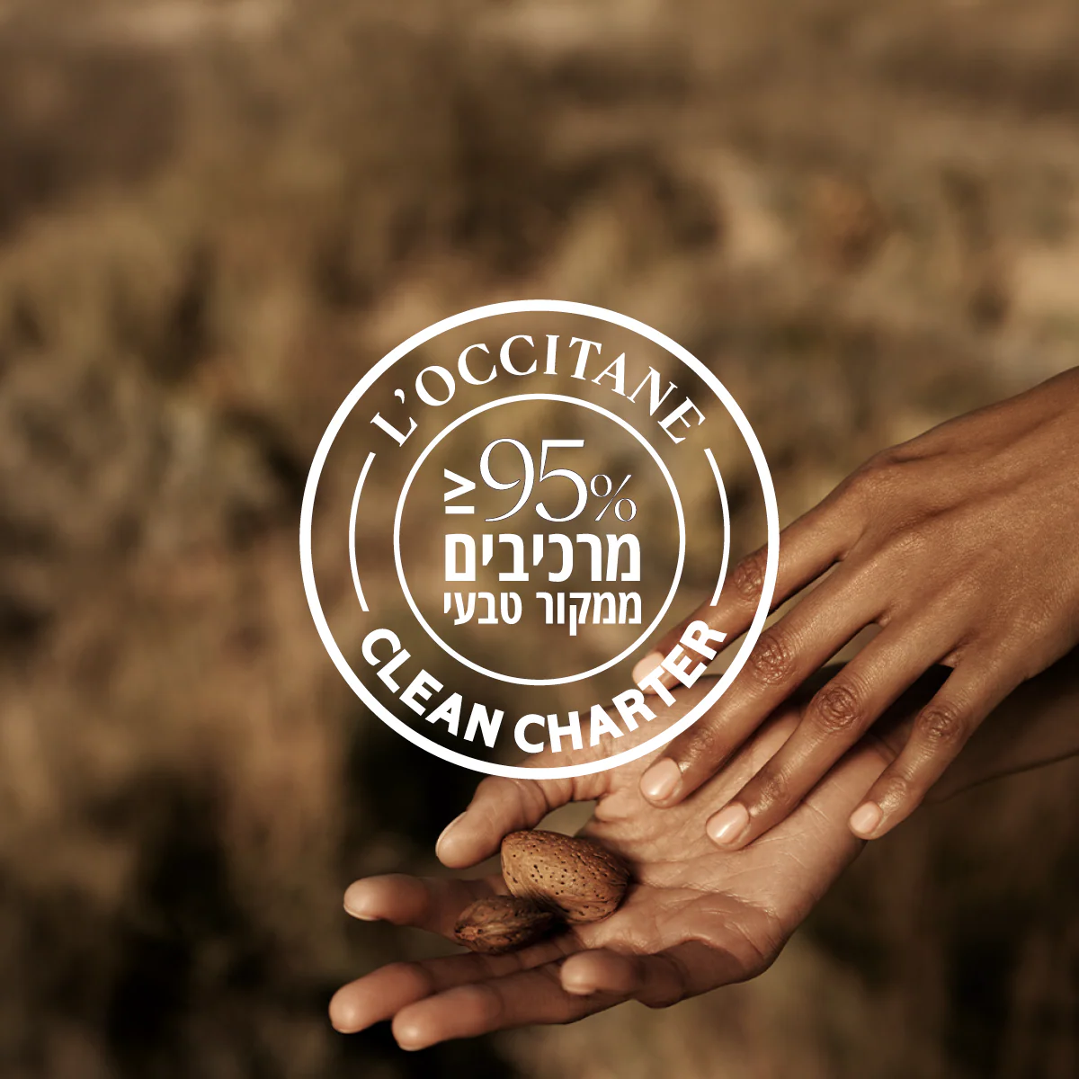 תמונה ממוזערת 2