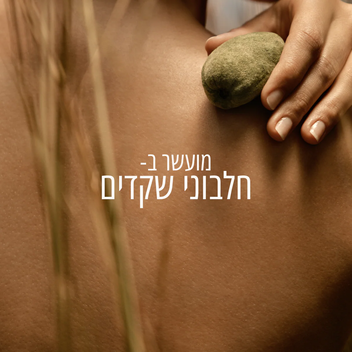 תמונת מוצר 6