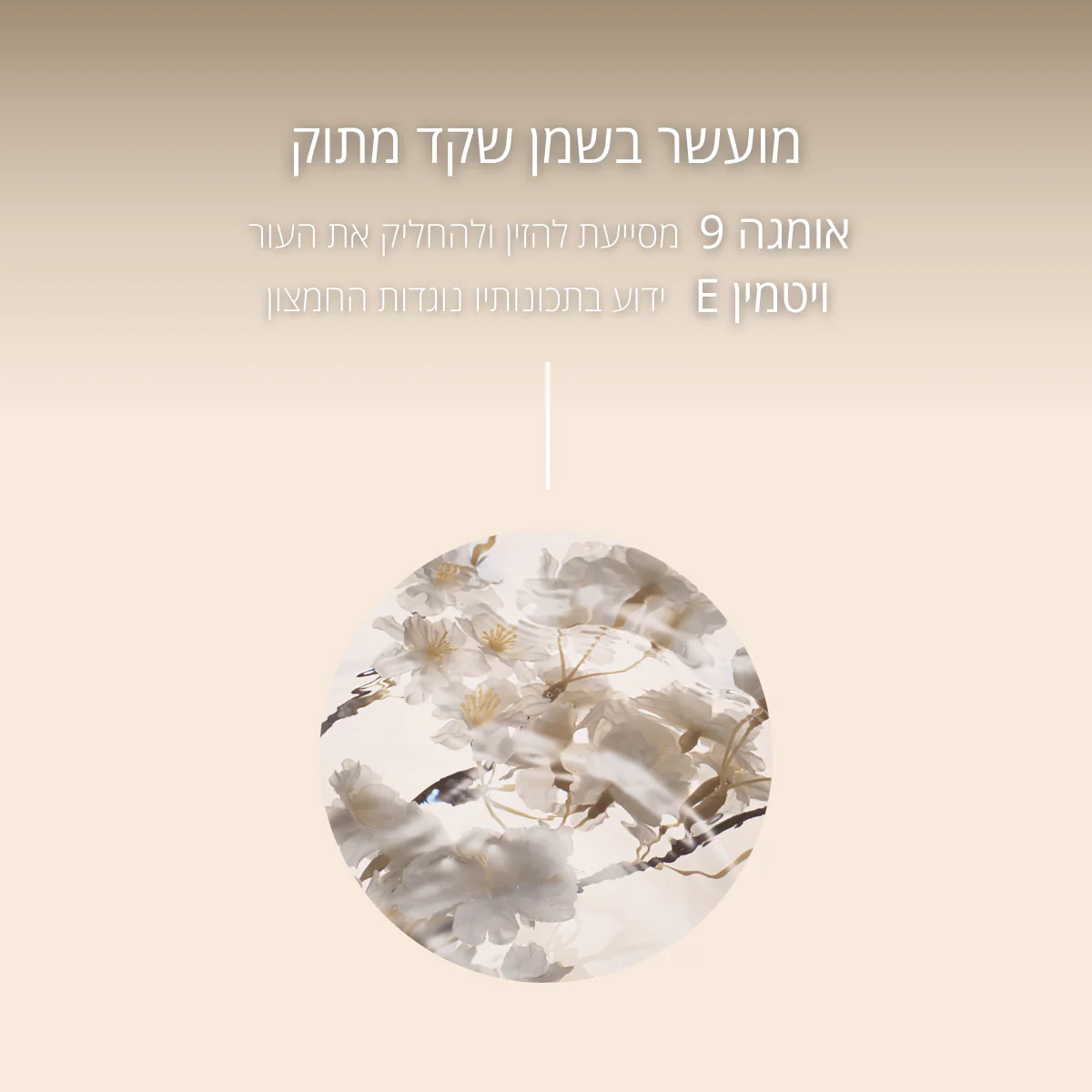 תמונת מוצר 5