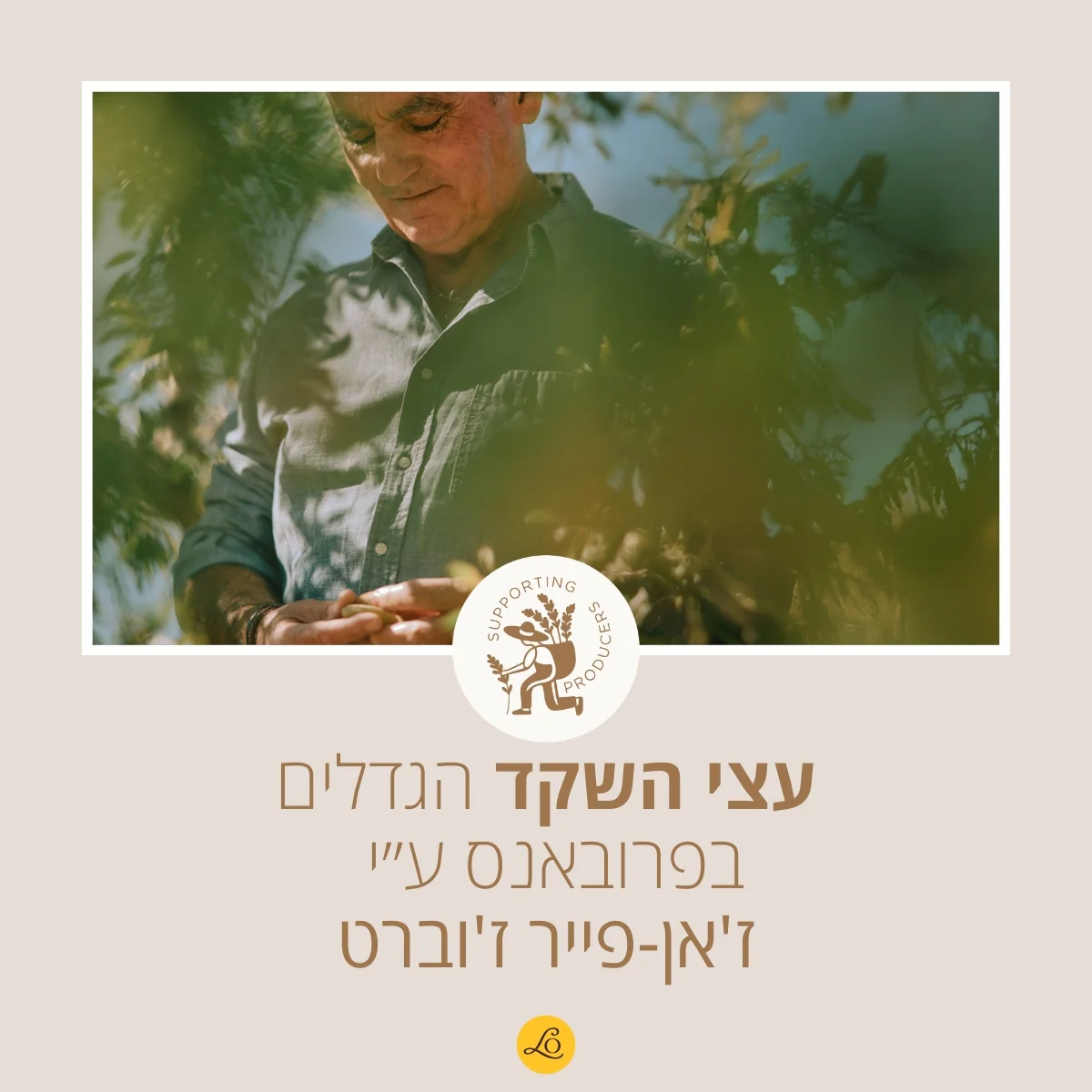 תמונת מוצר 4
