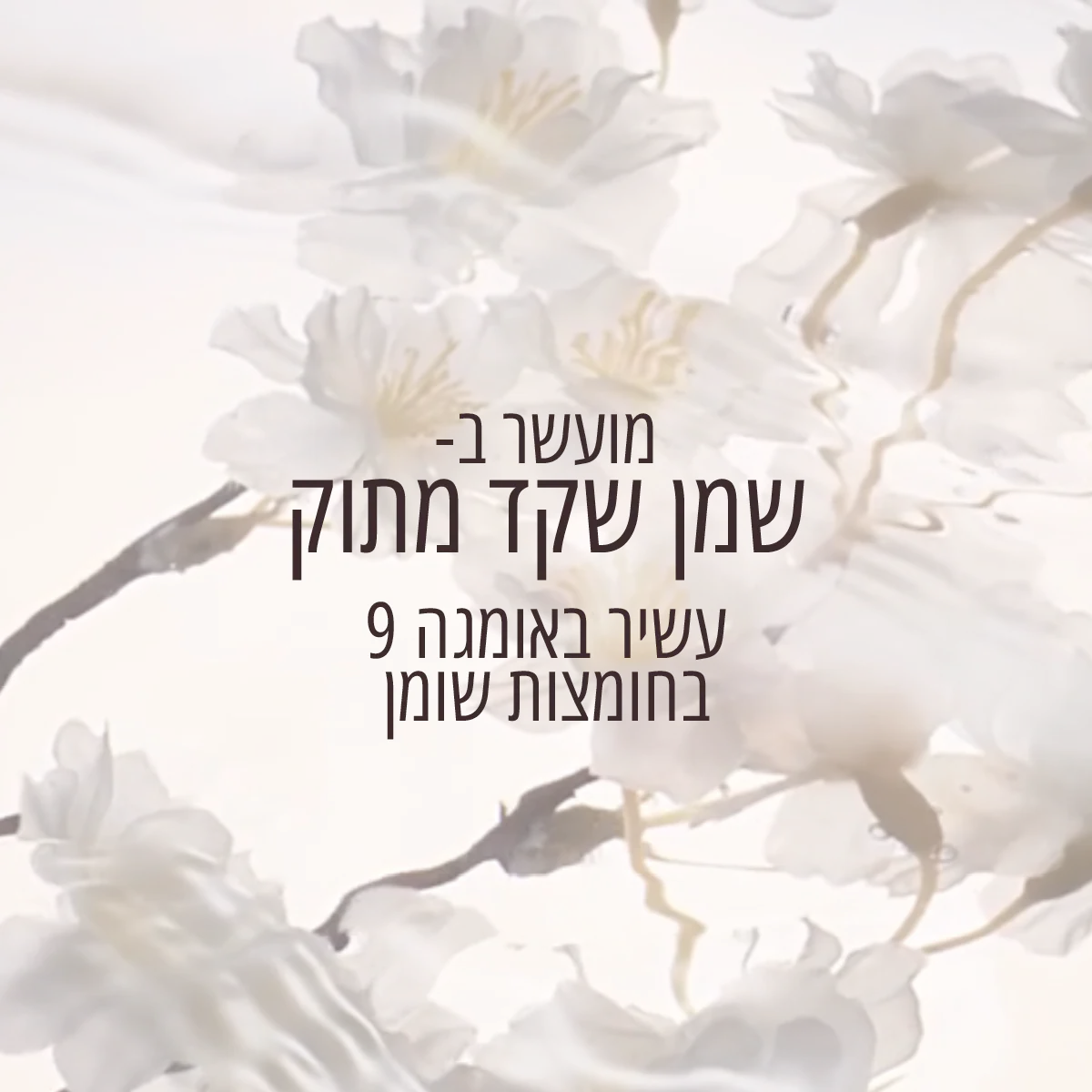 תמונת מוצר 5