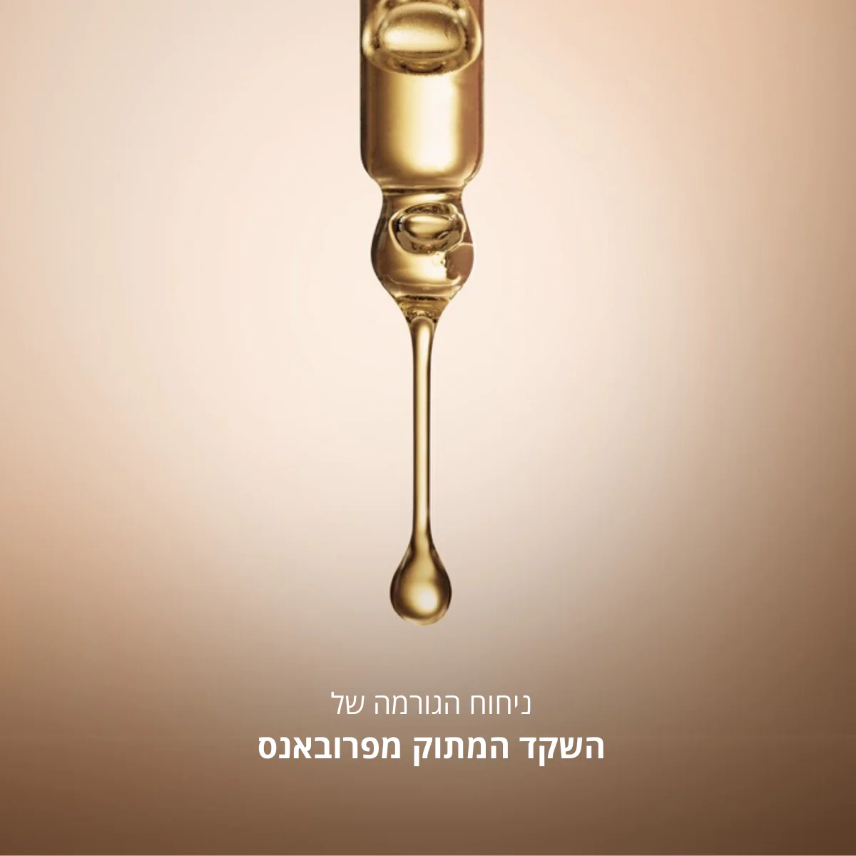 תמונת מוצר 5