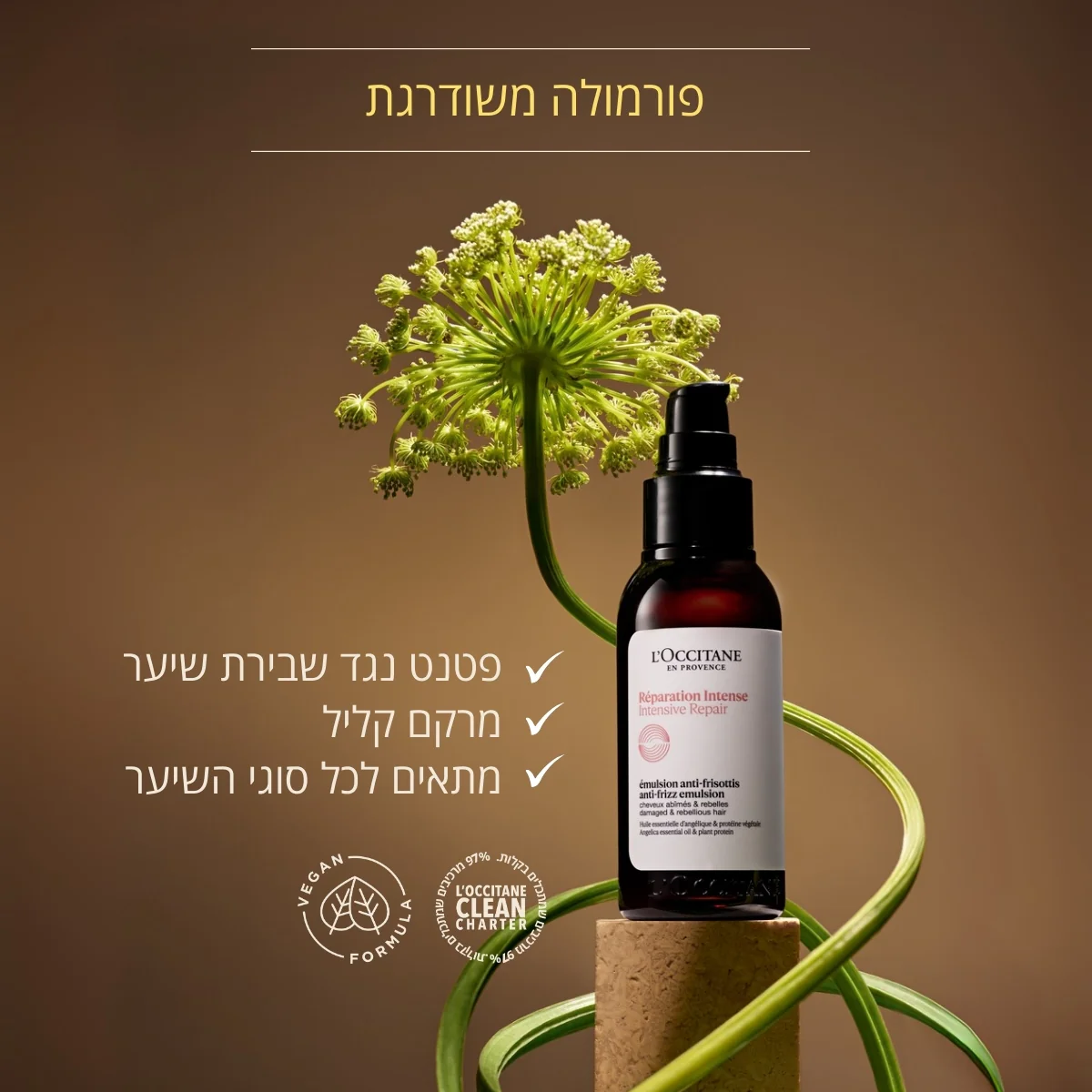 תמונה ממוזערת 2