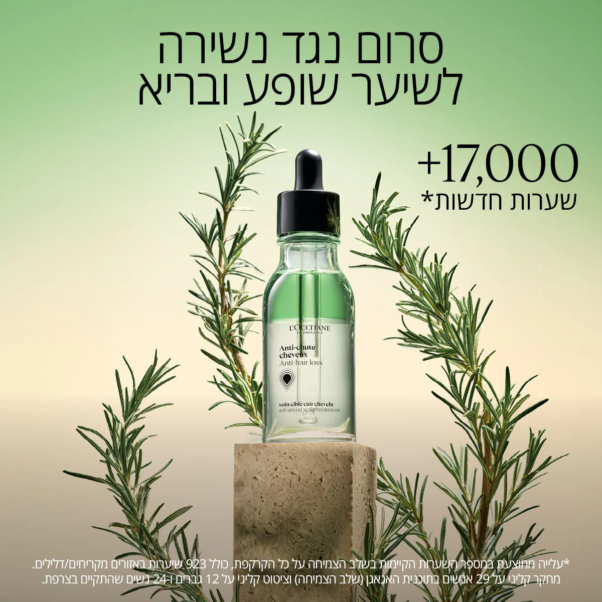 תמונה ממוזערת 2