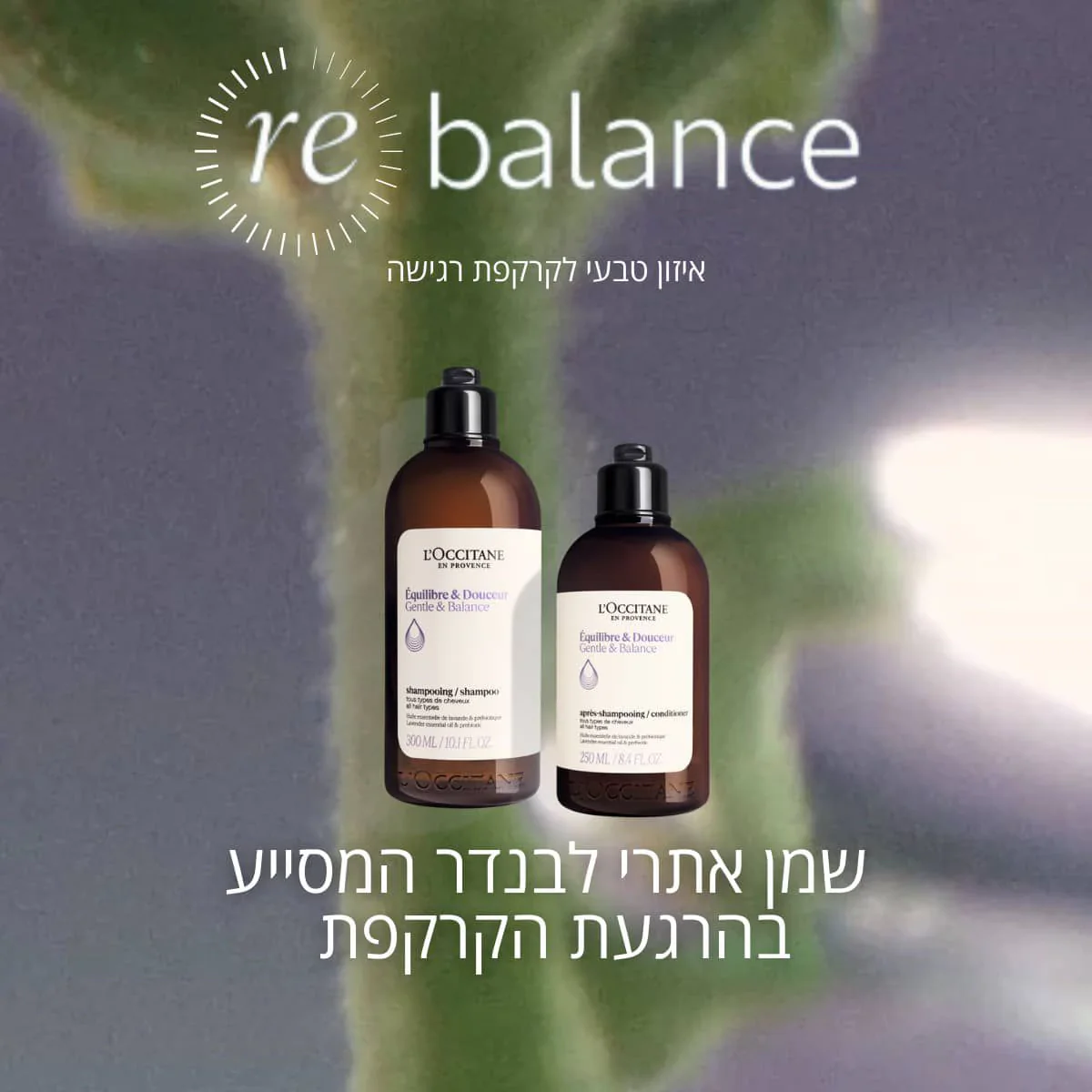 תמונה ממוזערת 2
