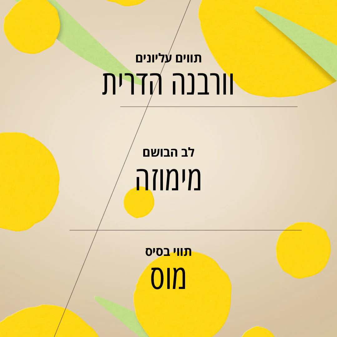 תמונת מוצר 4