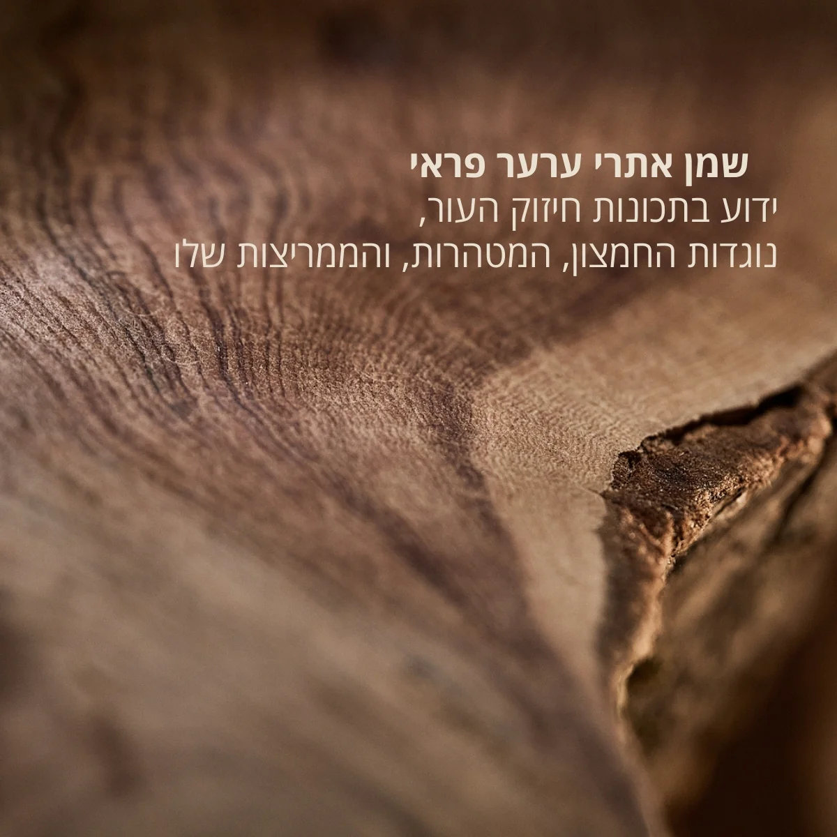 תמונת מוצר 2