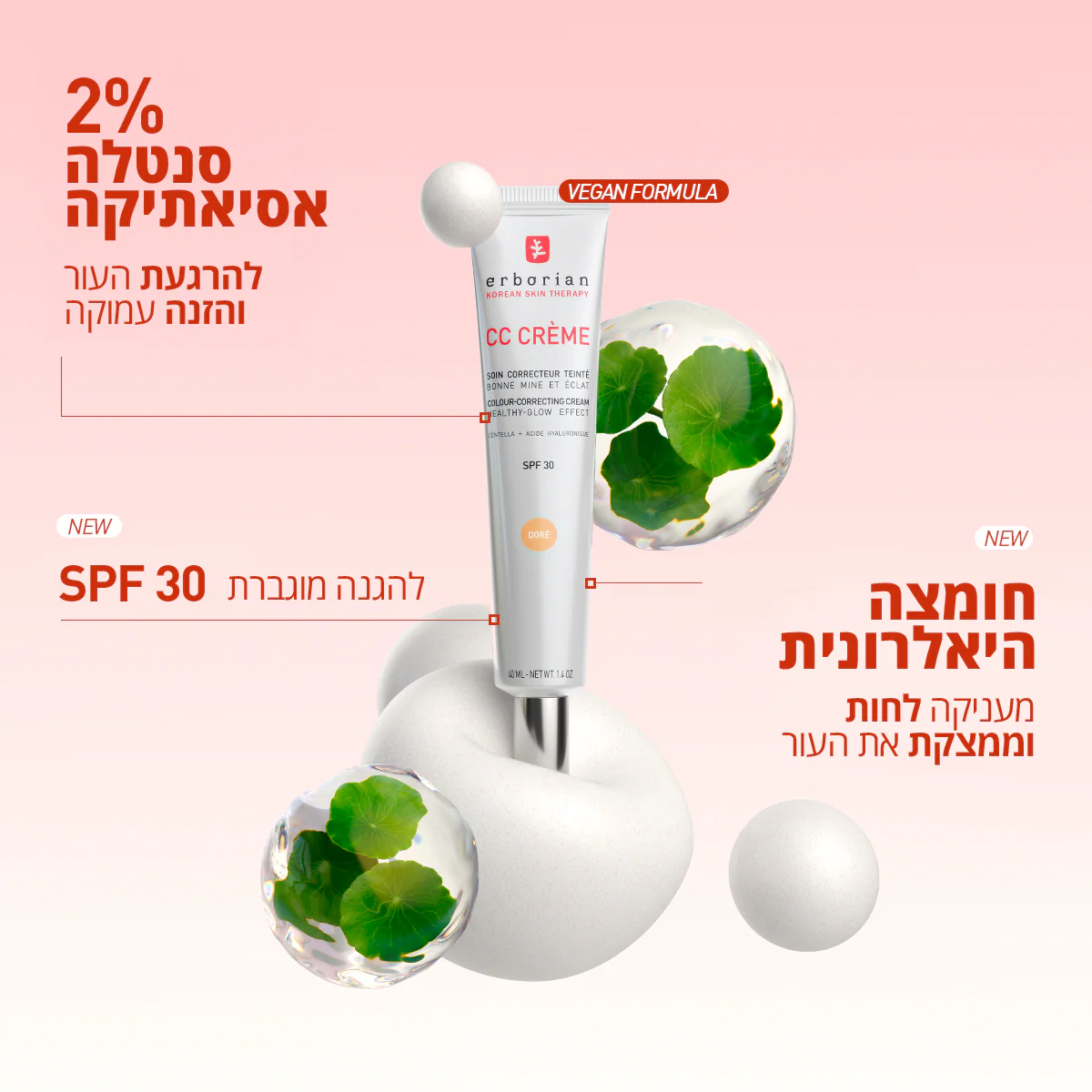 תמונת מוצר 8