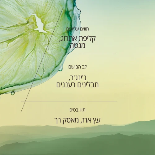תמונת מוצר 2