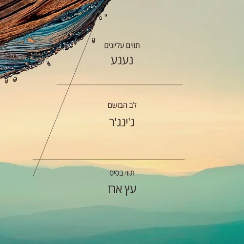 תמונת מוצר 2