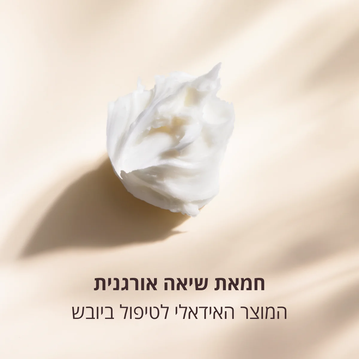 תמונה ממוזערת 2