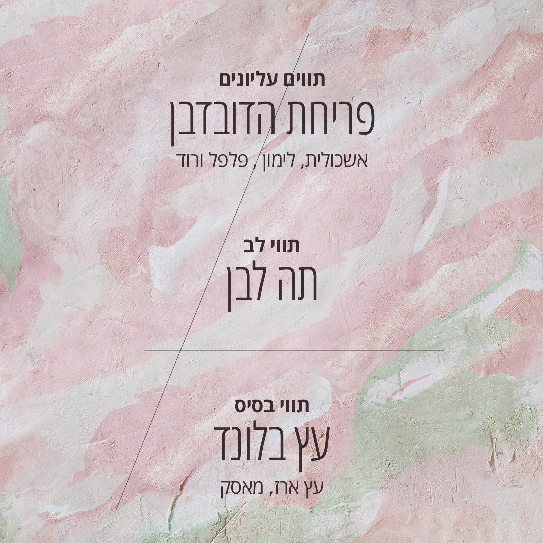 תמונה ממוזערת 2