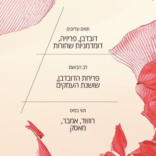 תמונת מוצר 2