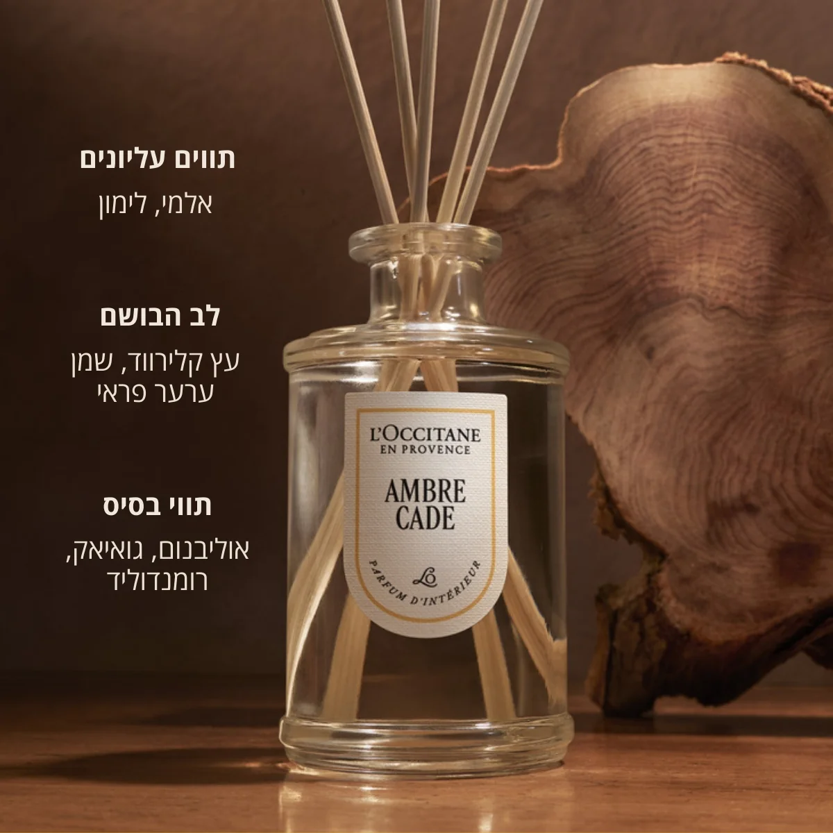 תמונה ממוזערת 2