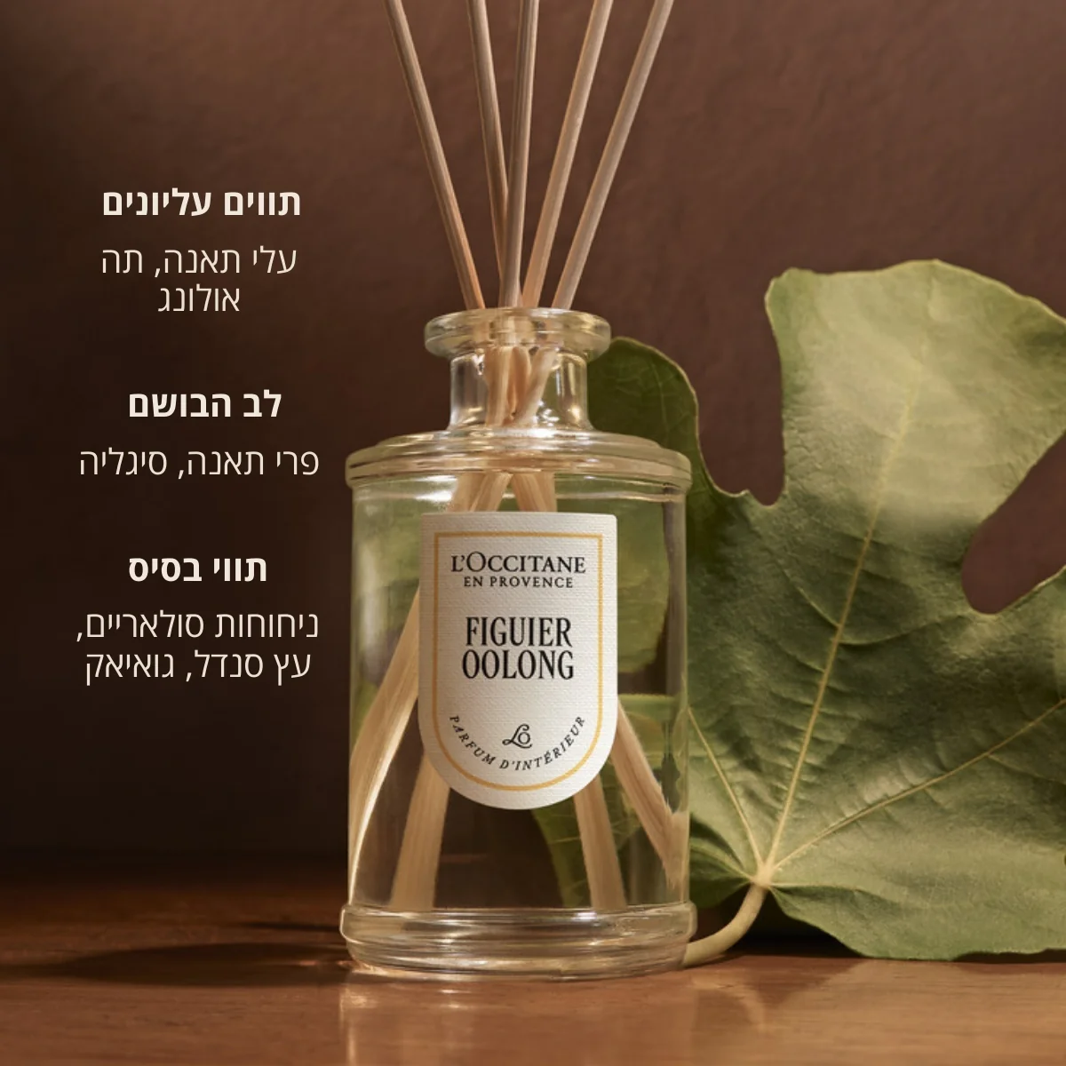 תמונה ממוזערת 2