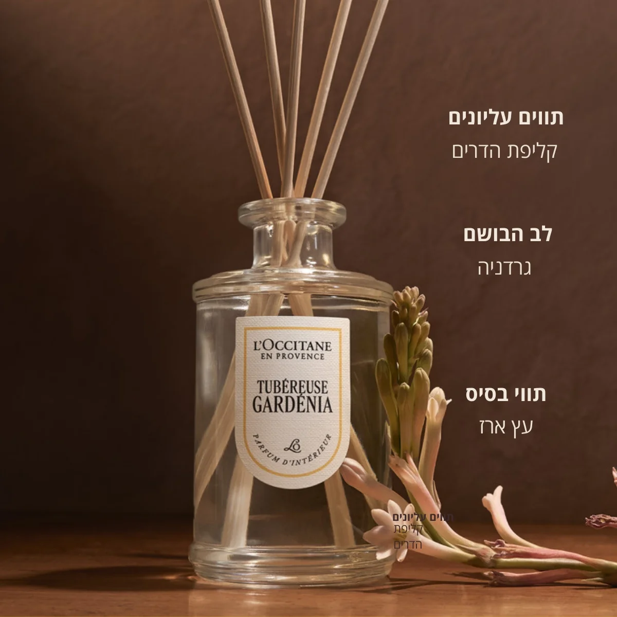 תמונת מוצר 2