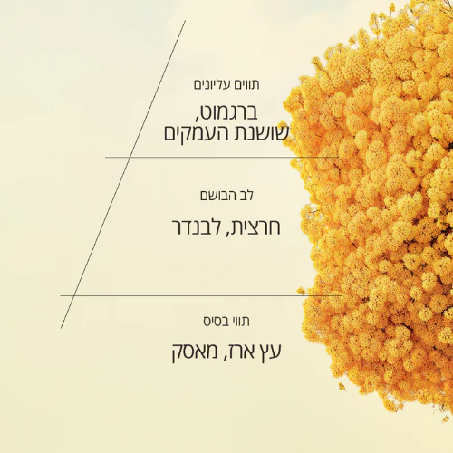 תמונת מוצר 2