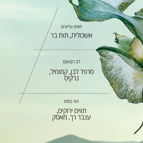 תמונת מוצר 4