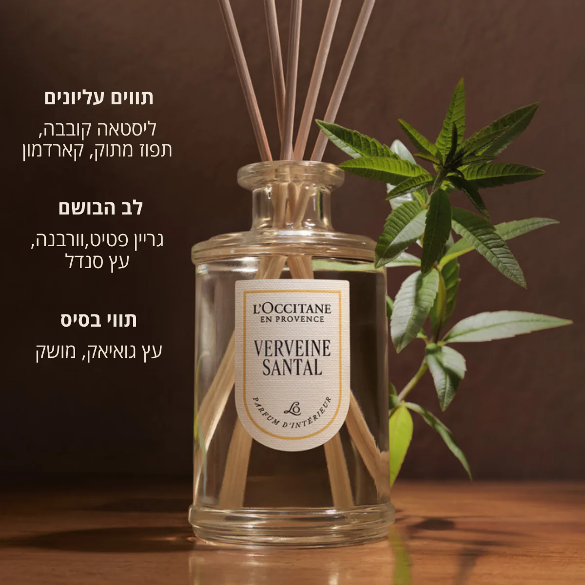 תמונת מוצר 2