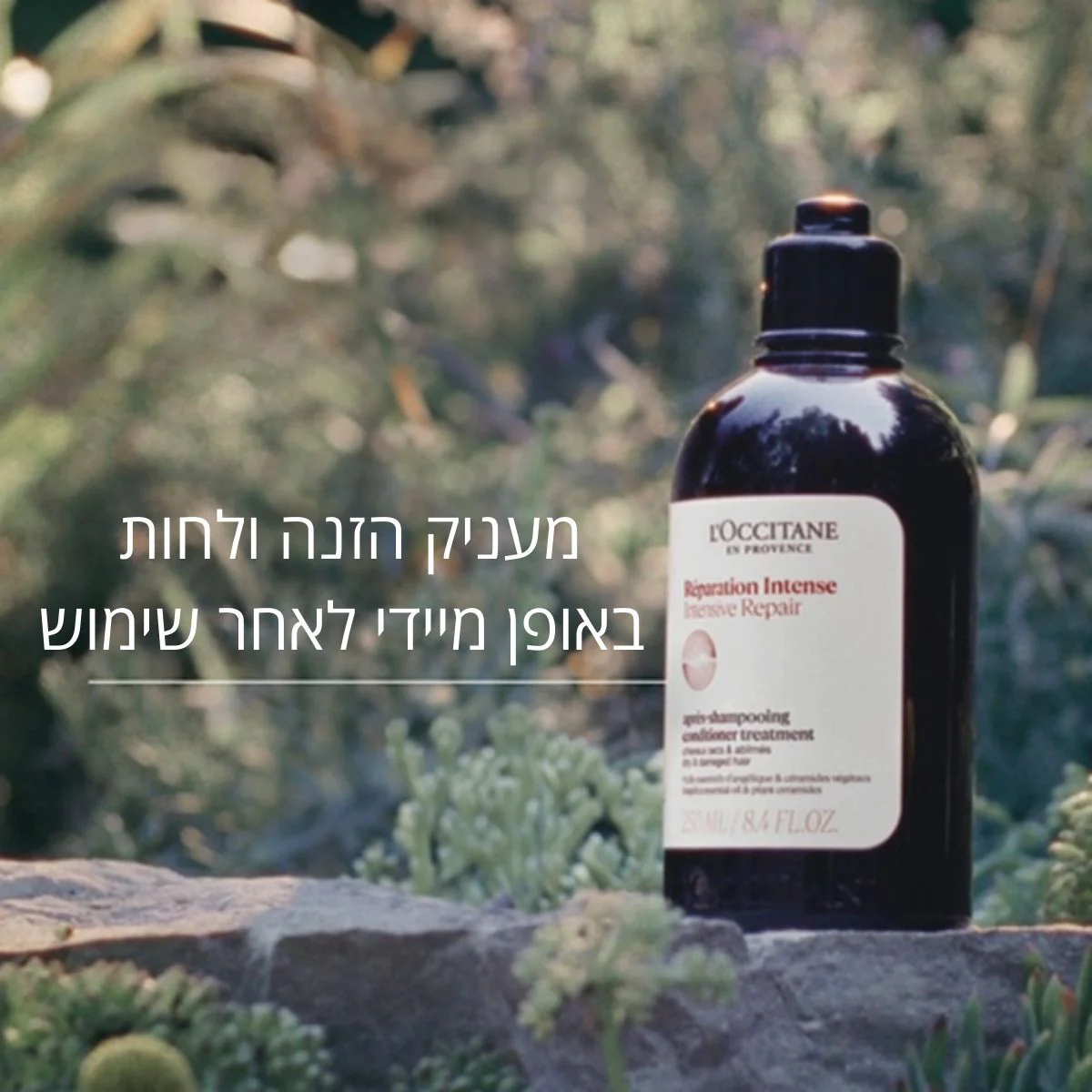 תמונה ממוזערת 2