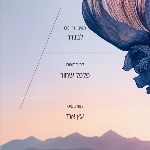 תמונת מוצר 2