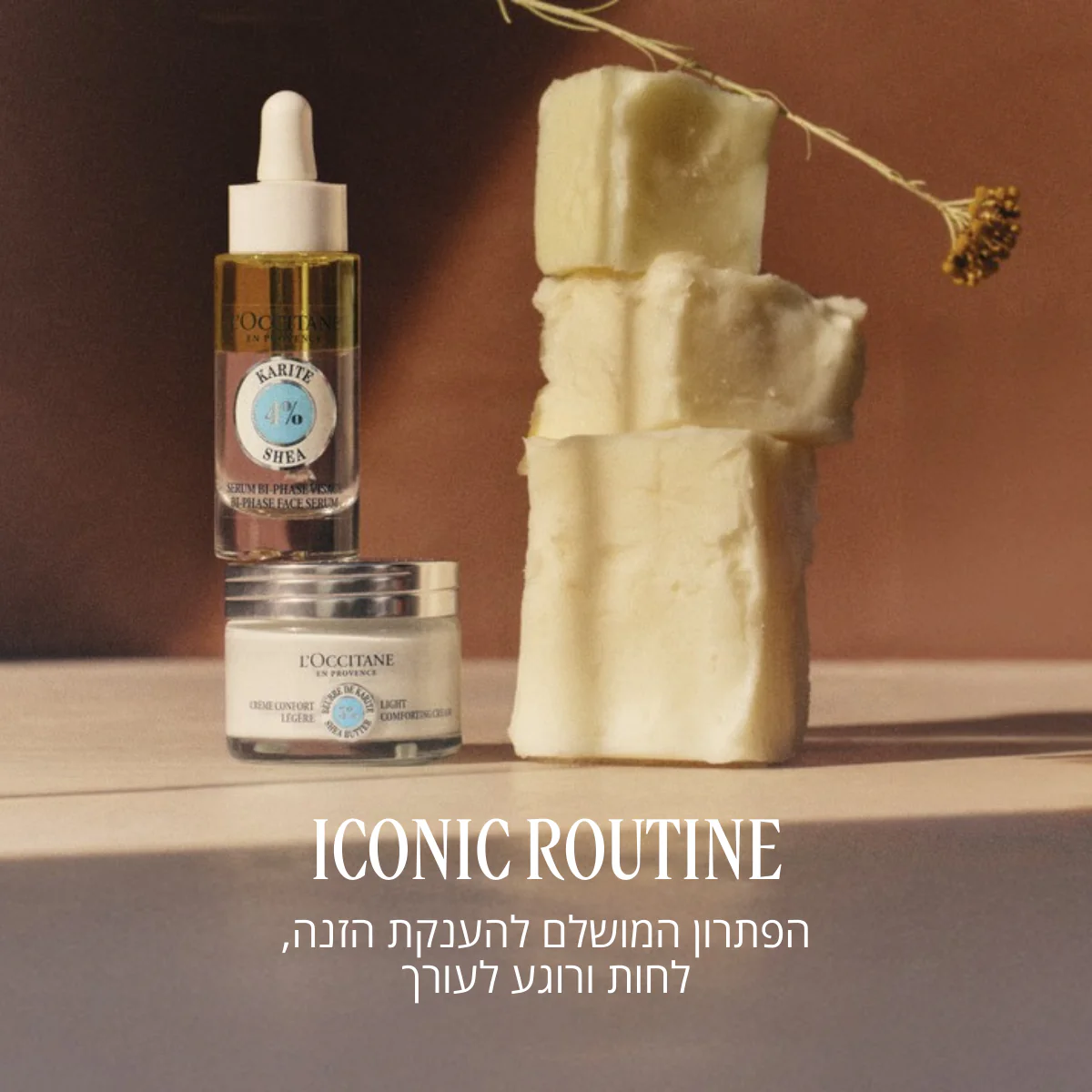 תמונת מוצר 3