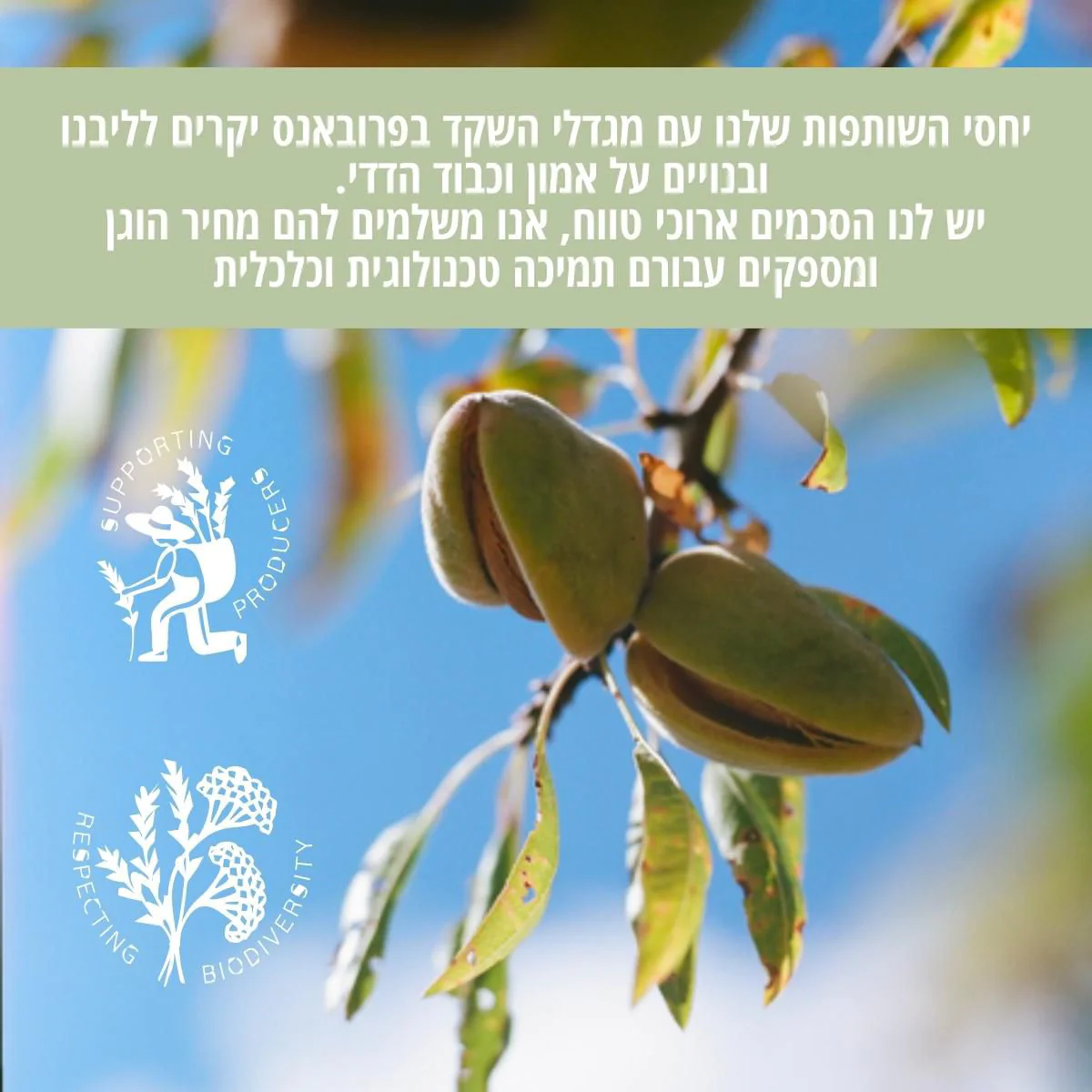 תמונת מוצר 4