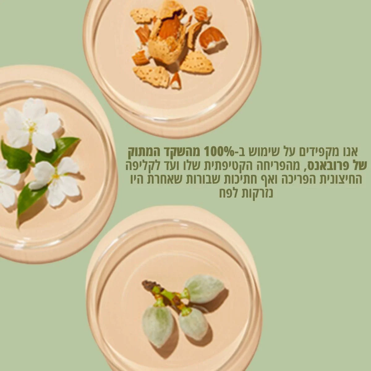 תמונת מוצר 5