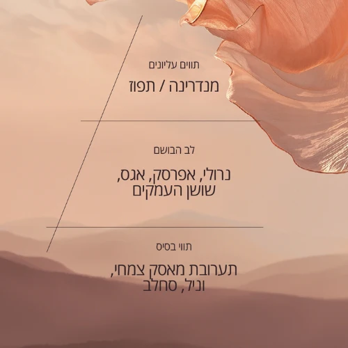 תמונת מוצר 2