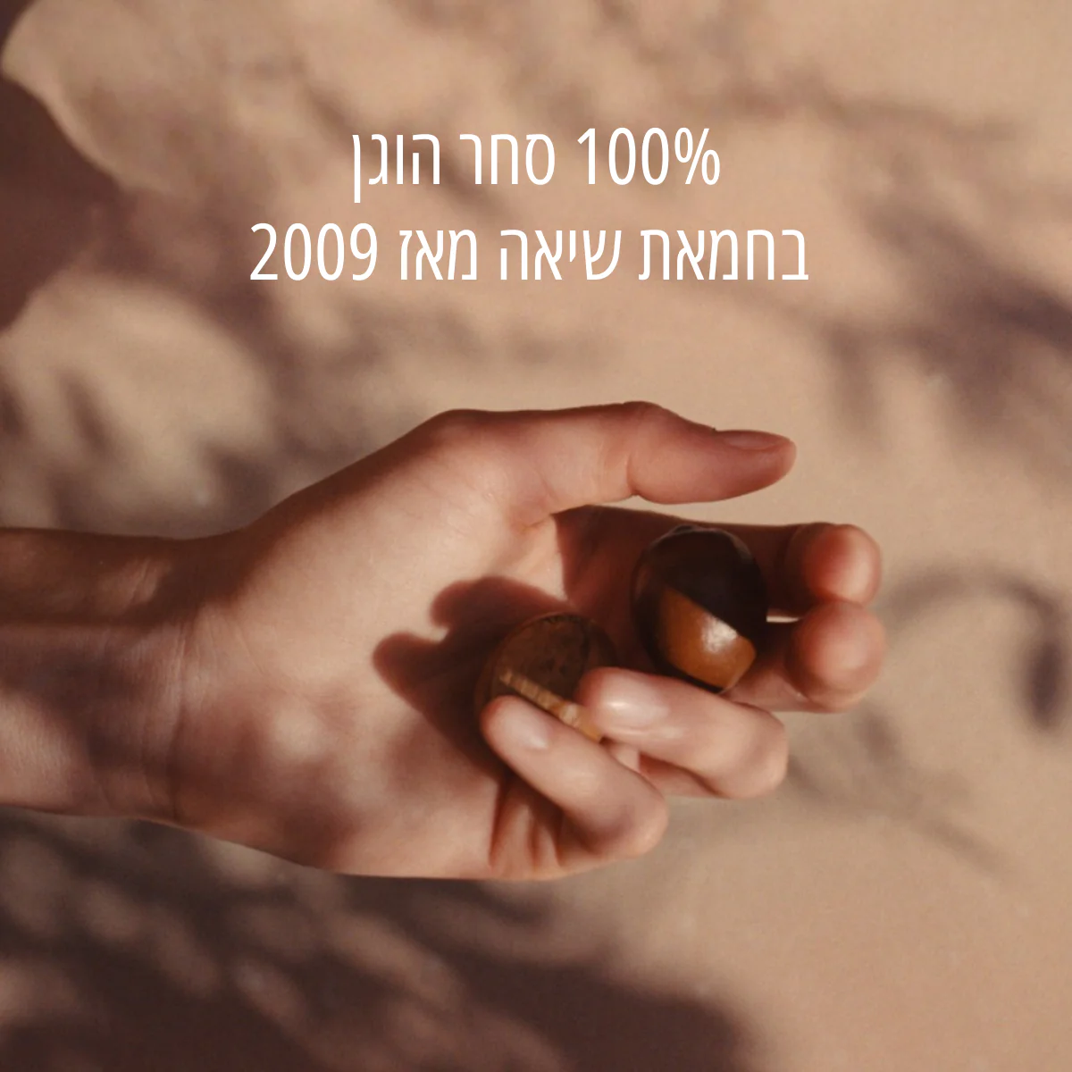 תמונה ממוזערת 2