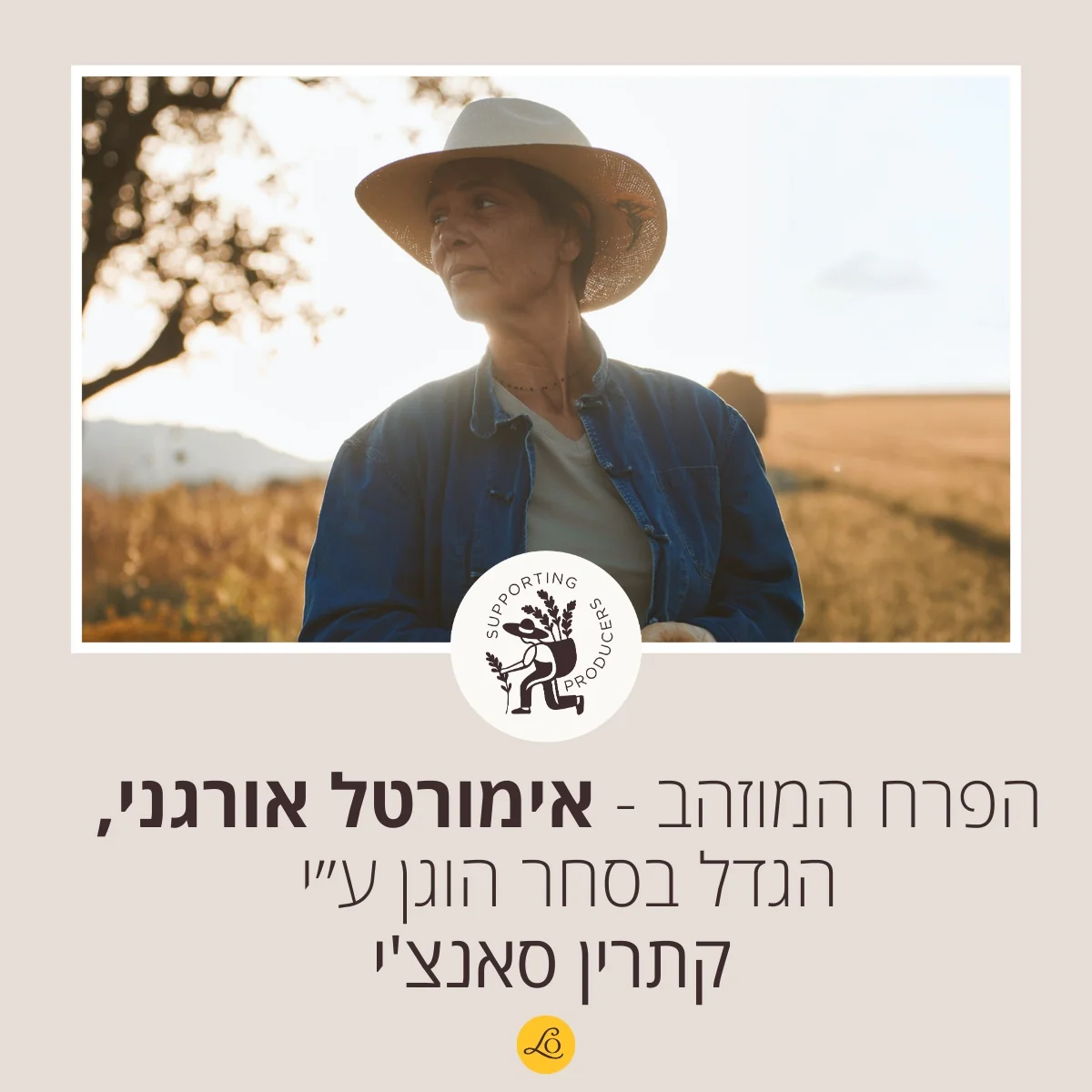 תמונת מוצר 5