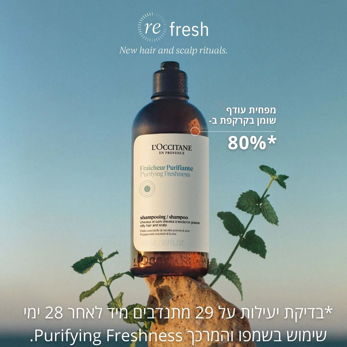 תמונה ממוזערת 2
