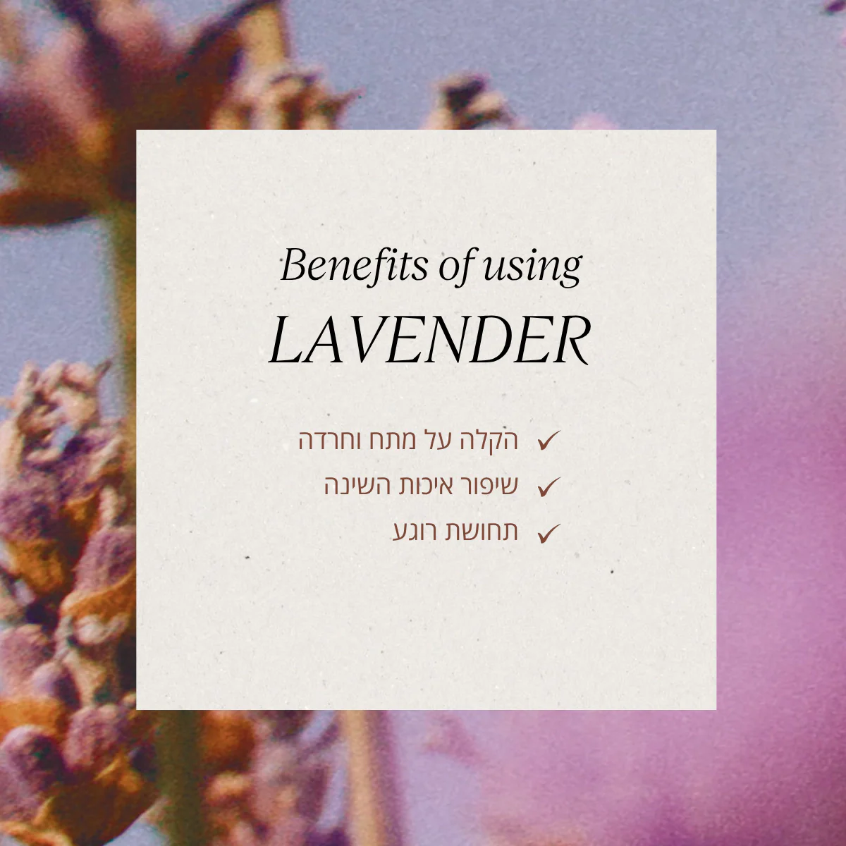 תמונת מוצר 5