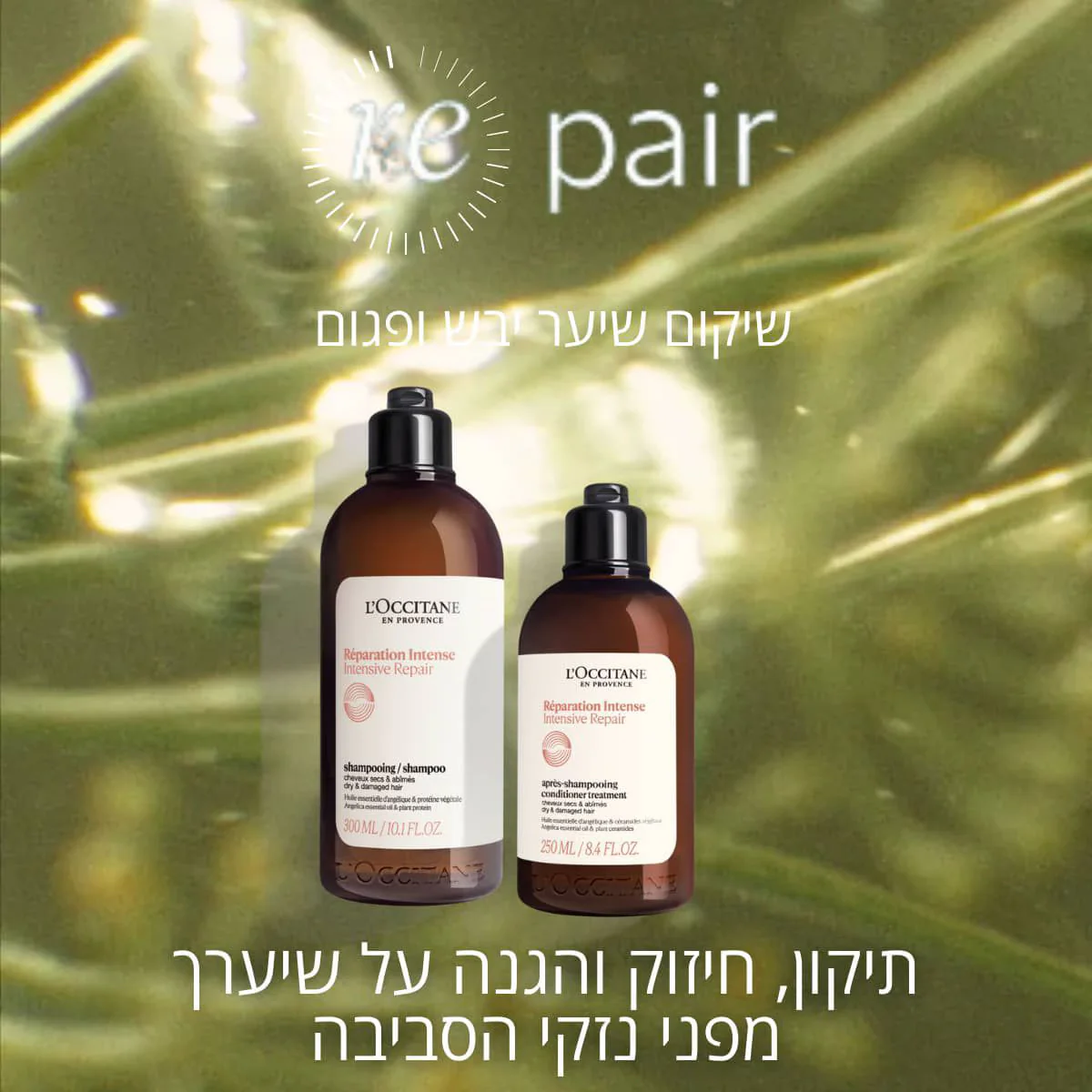 תמונה ממוזערת 2