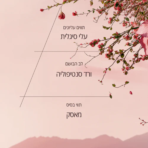 תמונת מוצר 2