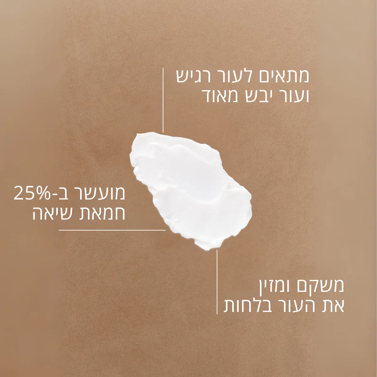 תמונה ממוזערת 2