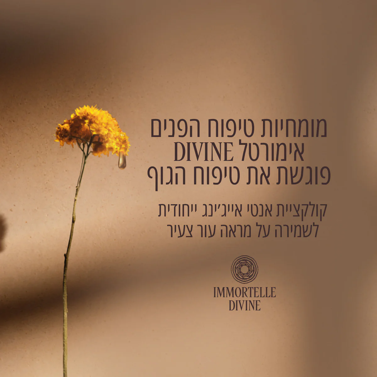תמונת מוצר 4