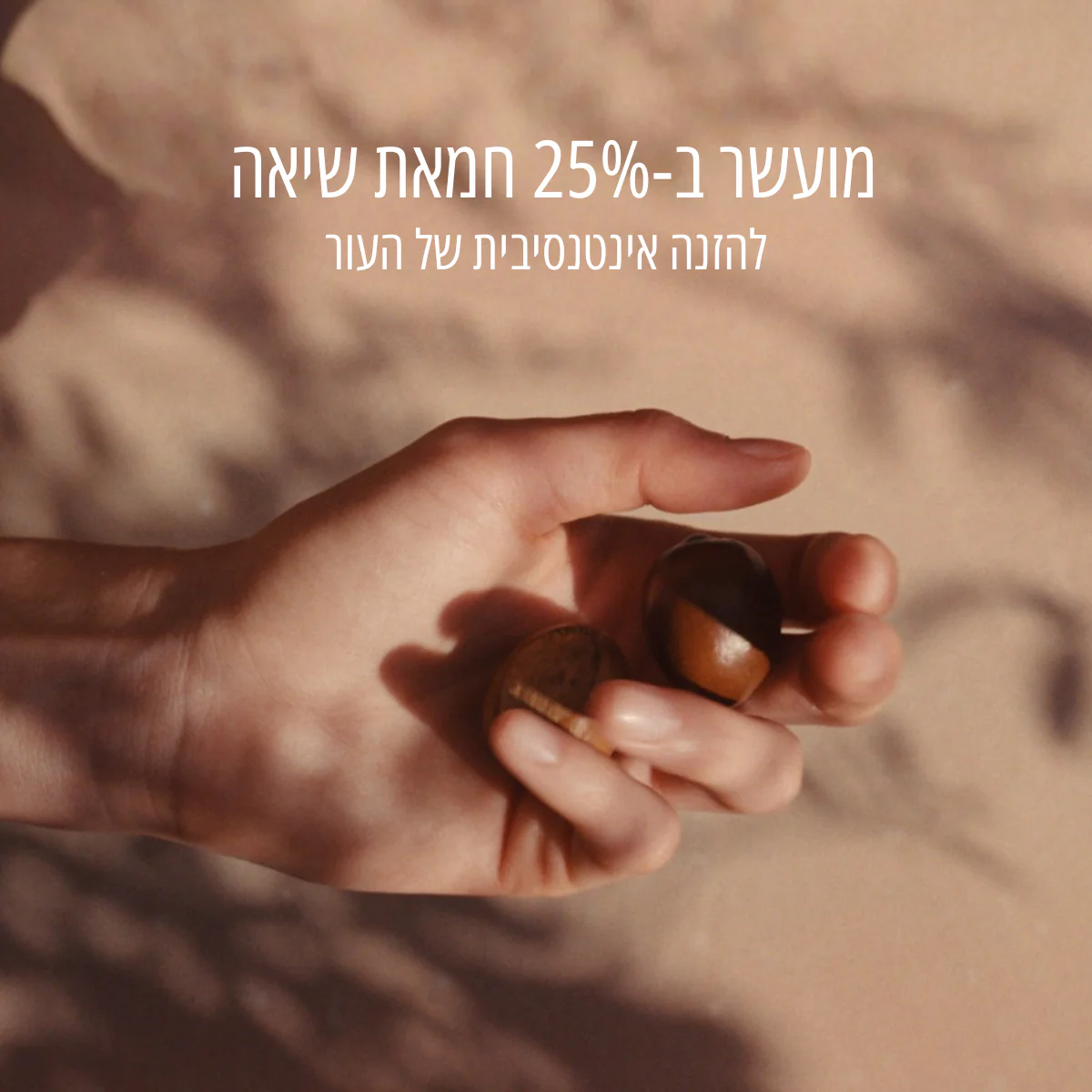 תמונה ממוזערת 2