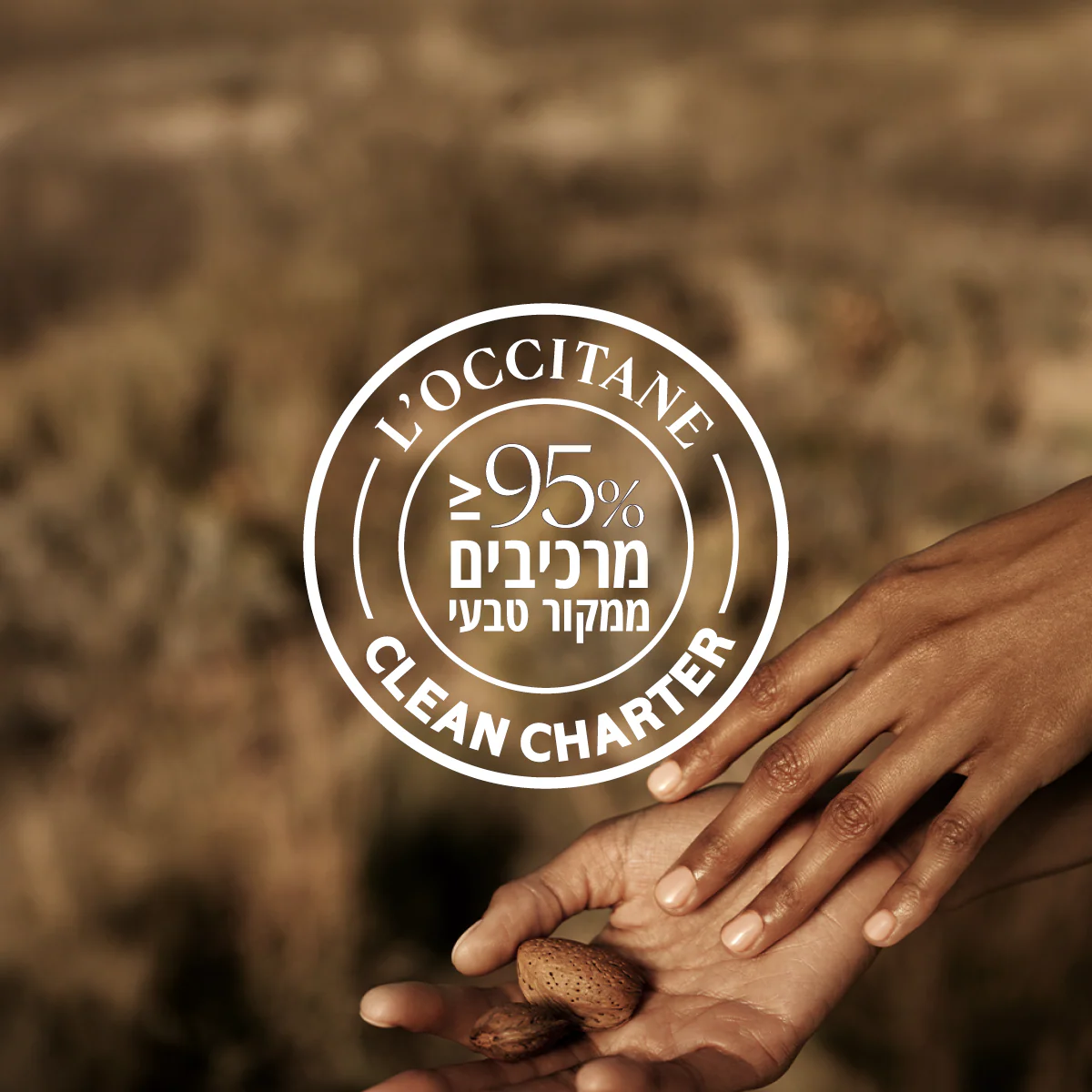 תמונת מוצר 6