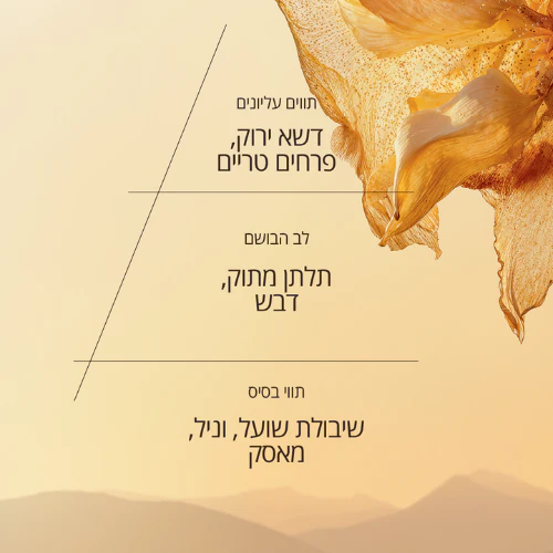 תמונת מוצר 3