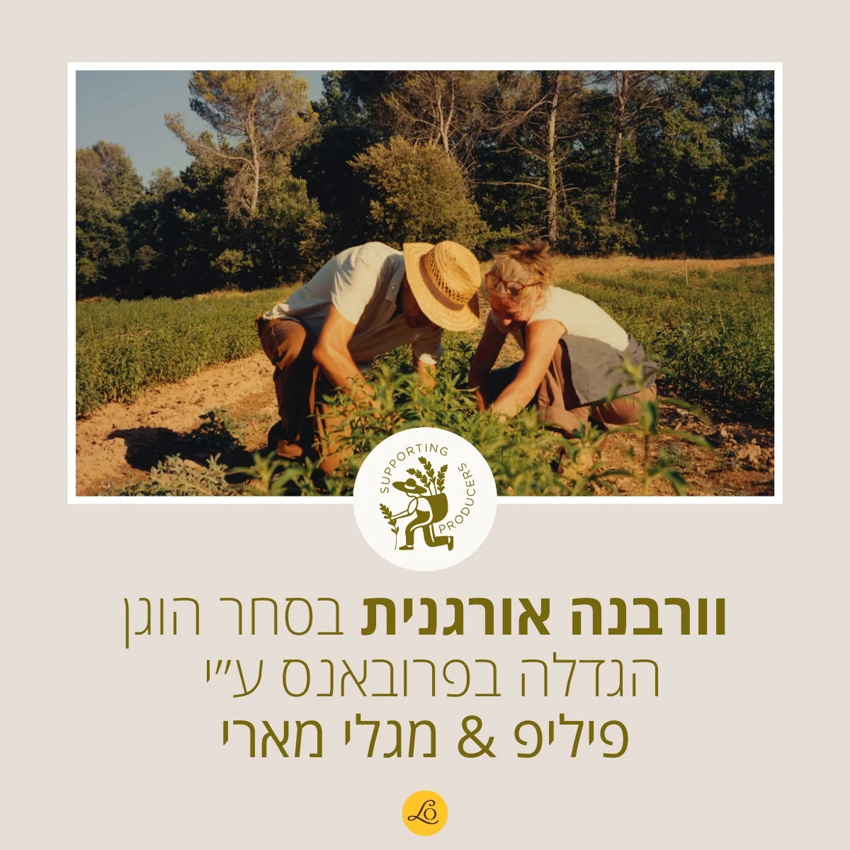 תמונת מוצר 2