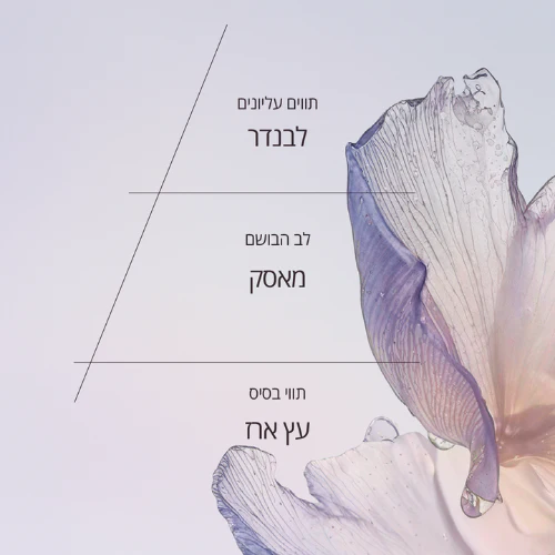 תמונה ממוזערת 2