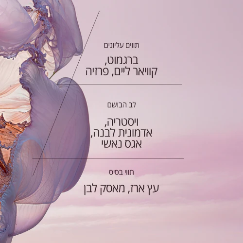 תמונת מוצר 3